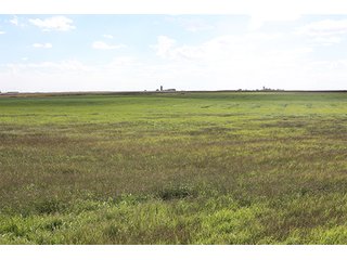 Property photo 35 - LAND AUCTION, 3255+/- Acres offered in 13 Tracts